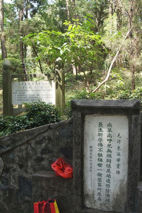 毛澤東墓 車牌 9